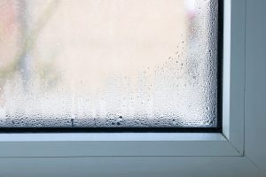 Double glazed windows with condensation.